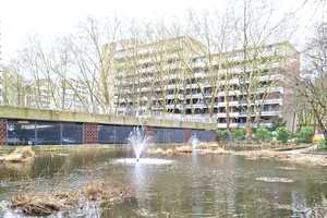 Property thumbnail 17