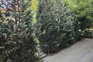 Renovierte 2 Raum Wohnung mit Balkon – Kohrener Str. 16, 4277 Leipzig – Vorschaubild 4