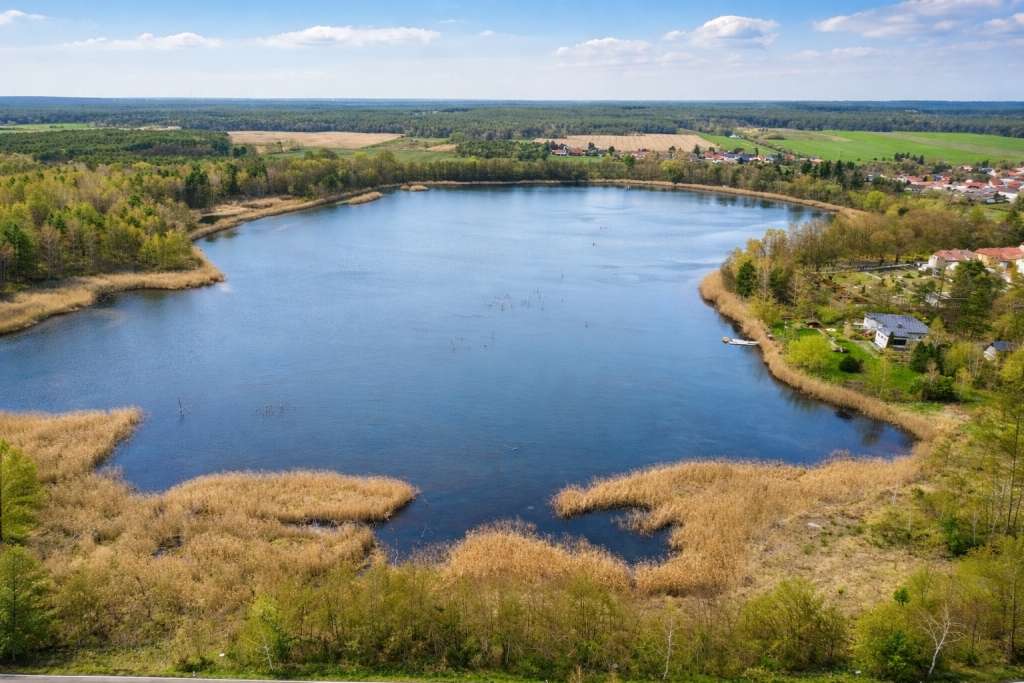 Immobilie in Tröbitz - Exklusives Anwesen mit eigenem See und Wald – Privatsphäre auf höchstem Niveau - Bild 2
