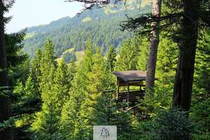 Einzigartiges Naturjuwel in den Allgäuer Alpen – anerkannte Alpe mit Wald- und Weideflächen – Die vollständige Adresse der Immobilie erhältst du vom Anbieter., 87538 Balderschwang – Vorschaubild 22
