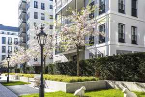 Property thumbnail 12