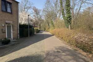 Property thumbnail 12