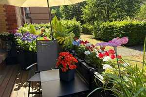 Düsseldorf-Derendorf - attraktive 2 Zimmer-Altbauwohnung mit EBK in gründerzeitlicher Wohnanlage – Düsseldorf – Vorschaubild 15
