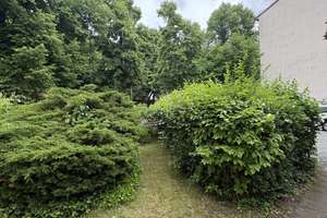 Schöne Wohnung in Spandau mit Garten und Carport! – Weissenburgerstrasse 31, 13595 Wilhelmstadt, Berlin – Vorschaubild 13