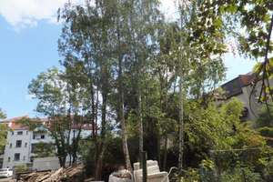 Property thumbnail 12