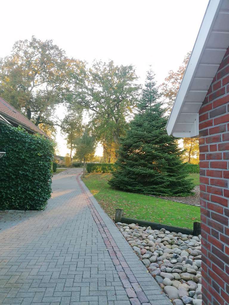 Immobilie in Barßel - Fehnhaus in idyllischer Kanallage auf 6.200m² Grundstück  - Bild 1