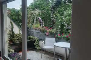 Property thumbnail 10