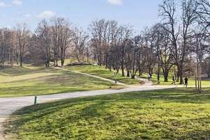 Top-Lage am Luitpoldpark – Attraktiver Kaufpreis dank ERBPACHT – Die vollständige Adresse der Immobilie erhältst du vom Anbieter., 80809 Am Luitpoldpark, München – Vorschaubild 17