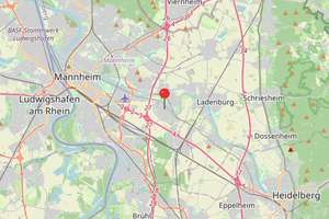 Liegenschaft zur Projektentwicklung mit Wertsteigerungspotential – 68239 Seckenheim, Mannheim – Vorschaubild 18