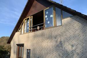 Modernisierter Wohnsitz oder Ferienhaus provisionsfrei von Privat – Am Rosengarten 4, 21371 Tosterglope – Vorschaubild 8