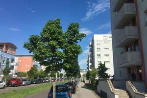Sicher ist sicher.. KAPITALANLAGE in Gonsenheim – Bürgermeister-Alexander-Straße 12, 55122 Gonsenheim, Mainz – Vorschaubild 1