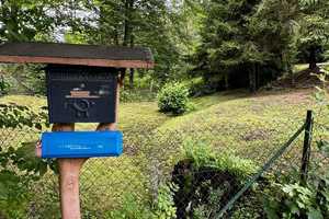 ruhig und idyllisch gelegenes Einfamilienhaus direkt am Waldrand in Meisdorf mit Finnhütte – Harz (Kreis) – Vorschaubild 13