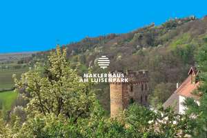Kernsaniertes Fachwerkhaus  mit Gewölbekeller 16.JH. zum wandeln in Wohnraum geeignet – Die vollständige Adresse der Immobilie erhältst du vom Anbieter., 67271 Neuleiningen – Vorschaubild 49