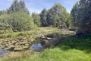 1,79 ha Paradies! Tolles Anwesen mit Großterrasse, Sauna, Ferienhaus - Pferde- & Tierhaltung möglich – Die vollständige Adresse der Immobilie erhältst du vom Anbieter., 92697 Georgenberg – Vorschaubild 9