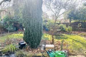 Freistehendes Einfamilienhaus mit Carport und schönem Garten in Duisburg-Homberg – Duisburg – Vorschaubild 6