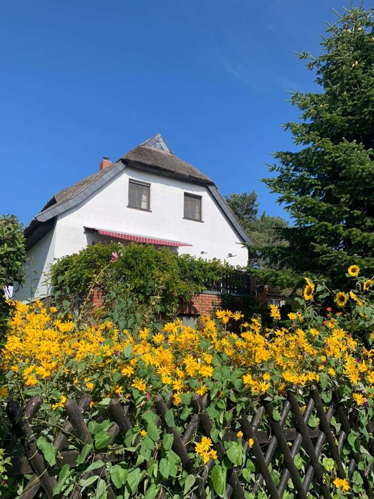 Immobilie in Insel Hiddensee - Inselfeeling pur – idyllisches Reetdachhaus mit 2 zusätzlichen Ferienwohnungen, Sauna & Nebengelass  - Bild 4