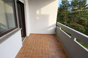 Moderne Wohnung in Mannheim-Käfertal – Dornheimerring 29, 68309 Käfertal, Mannheim – Vorschaubild 4