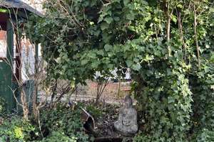 Charmantes 1-Zimmer Souterrain-Apartment in Köln-Lindenthal – Theresienstraße 54, 50931 Lindenthal (Ortsteil), Köln – Vorschaubild 12