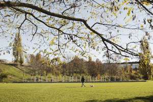 Property thumbnail 24