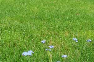 Property thumbnail 71