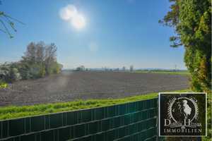 FELDRANDLAGE (Traumblick)  - *Einfamilienhaus oder Zweiparteienhaus mit Garage & Garten* – Rhein-Pfalz-Kreis – Vorschaubild 18