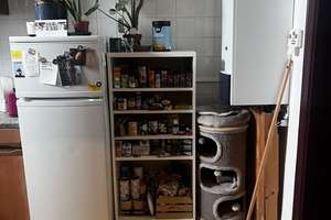 Altbau 1 Zimmer Wohnung mit separater Küche und Gemeinschaftsgarten – Die vollständige Adresse der Immobilie erhältst du vom Anbieter., 42115 Elberfeld West, Wuppertal – Vorschaubild 5