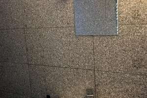 ***FREI & RENOVIERT! Charmante, helle 2-Zimmerwohnung mit Düsselblick in gefragter Lage von Bilk*** – 40223 Bilk, Düsseldorf – Vorschaubild 11