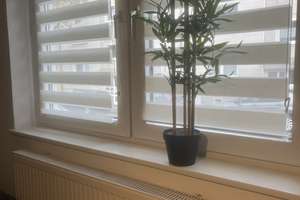 Property thumbnail 14