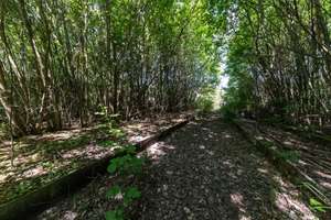 Property thumbnail 17