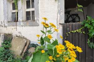 Historisches Bauernhaus | Raum für eigene Ideen auf einem Vierseitenhof – Zur Hohle 2, 1328 Schönfeld/Schullwitz, Dresden – Vorschaubild 6