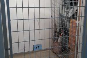 Sehr ruhige, neuw. 2,5-Zi.-Galeriewhg. mit Dachterrasse und EBK in Regensburg-Galgenberg, Uninähe, – Rotteneckstraße 31, 93053 Galgenberg, Regensburg – Vorschaubild 18