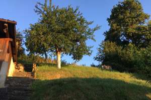 Sonniges Einfamilienhaus in ruhiger Gegend mit Einliegerwohnung sucht nette Familie! – Die vollständige Adresse der Immobilie erhältst du vom Anbieter., 89537 Giengen an der Brenz – Vorschaubild 8