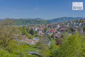 Historisches Einfamilienhaus mit großem Naturgrundstück – An der Halden 4, 79650 Schopfheim – Vorschaubild 61