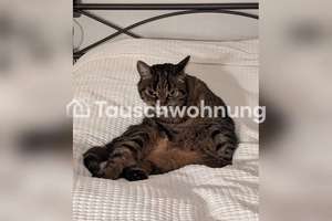Tauschwohnung: Tauschen Traum-2ZKB gegen Traum-3-4ZKB in Neu-Ehrenfeld – Graeffstr. 22, 50823 Neuehrenfeld, Köln – Vorschaubild 5