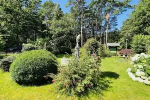 gesucht - gefunden - verliebt – Rügen (Kreis) – Vorschaubild 12