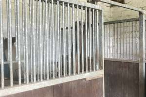 Kranenbruch 14,  Kapitalanlage Haus, Hof und Wald  mit besonderem Flair! – Kranenbruch 14, 41366 Schwalmtal – Vorschaubild 16