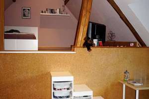 Schön gelegen in Pfeffelbach: 2 Häuser: 1 x ca. 194m² saniert,  1 x ca. 125m² renovierungsbedarf, mi – Die vollständige Adresse der Immobilie erhältst du vom Anbieter., 66871 Pfeffelbach – Vorschaubild 19