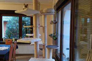 + Familiäre Lage - BUNGALOW m. SÜDWEST-Terrasse + – Die vollständige Adresse der Immobilie erhältst du vom Anbieter., 39110 Sudenburg, Magdeburg – Vorschaubild 13