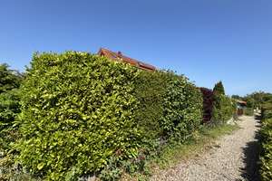 Wunderschönes, energieeffizientes Reihenendhaus in Großenbrode ca. 700 m Luftlinie zum Ostseestrand – Die vollständige Adresse der Immobilie erhältst du vom Anbieter., 23775 Großenbrode – Vorschaubild 24