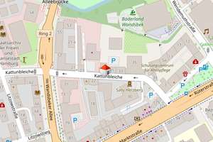Schöne, komplett sanierte / renovierte Wohnung mit Gartenmitbenutzung ! – Die vollständige Adresse der Immobilie erhältst du vom Anbieter., 22041 Wandsbek (Ortsteil), Hamburg – Vorschaubild 13