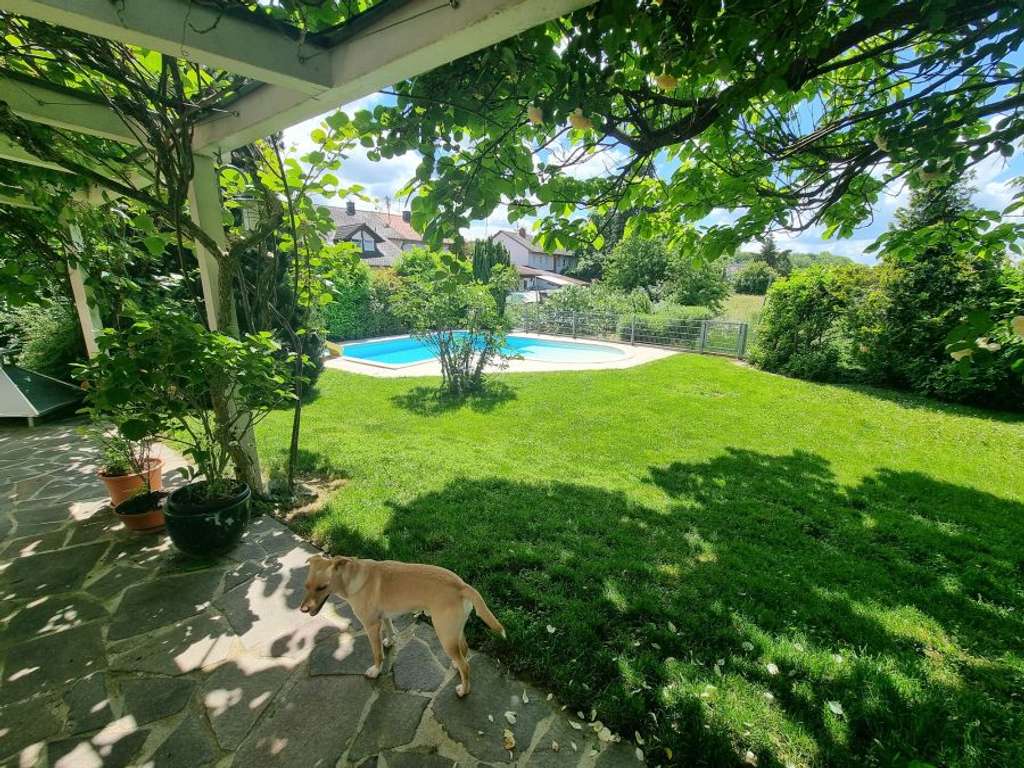 Immobilie in Buggingen - Provisionsfrei* Modernes Einfamilienhaus mit hochwertigem Anbau, Doppelgarage und Pool in Buggingen - Bild 1