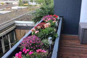 Einziehen und Wohlfühlen im Terrassenhaus Davenstedt