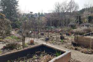 Einfamilienhaus mit ELW 255qm mit 3966qm Garten, EKl A+, Bj 2013 – Die vollständige Adresse der Immobilie erhältst du vom Anbieter., 72178 Waldachtal – Vorschaubild 12