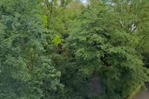 Vollausgestattete 2 Zimmer Wohnung in Bestlage Nürnbergs möbliert zu vermieten  – Rosenaustraße 6, 90429 Himpfelshof, Nürnberg – Vorschaubild 8