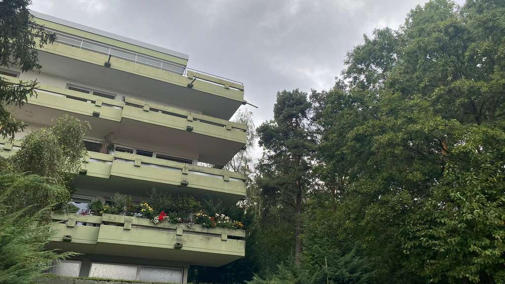 Immobilie in Königstein - Sehr gepflegte  1-Zimmer-Wohnung in ruhiger Wohn-Lage mit großartigem Balkon, idyllisch am Waldrand - Bild 4