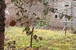 Wohnen in einer der schönsten alten Städtchen in Rheinland Pfalz – Mainz-Bingen (Kreis) – Vorschaubild 3