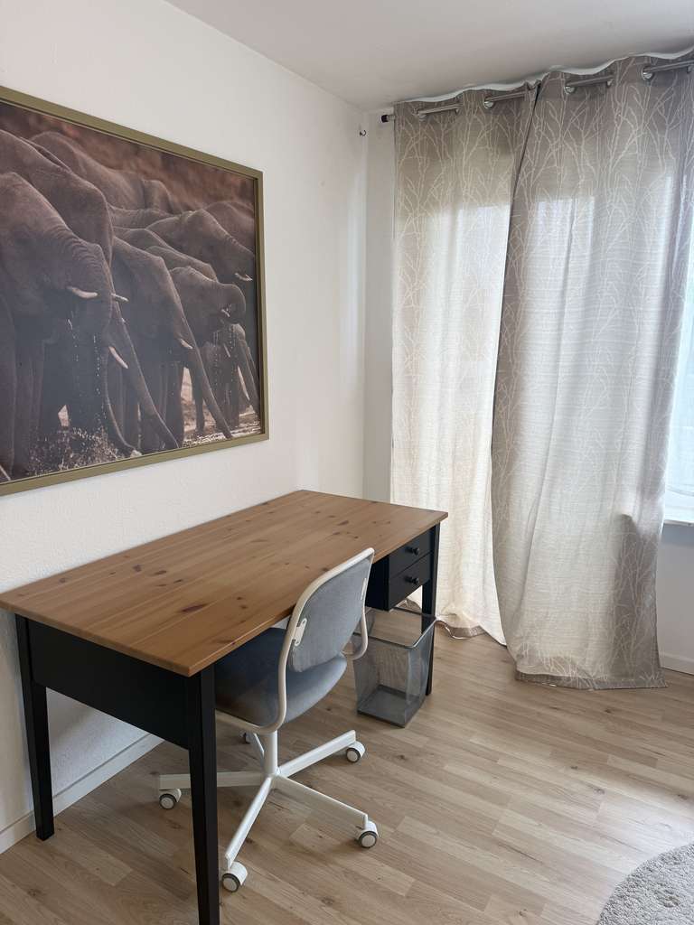 Immobilie in Höchberg - Charmante 1-Zimmer Wohnung mit Balkon in Höchberg - Bild 2