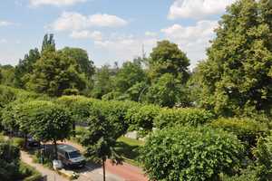 Property thumbnail 14