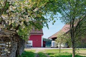 Ihr Zuhause mit Familienglück, Natur und Tieren – Die vollständige Adresse der Immobilie erhältst du vom Anbieter., 73667 Kaisersbach – Vorschaubild 12