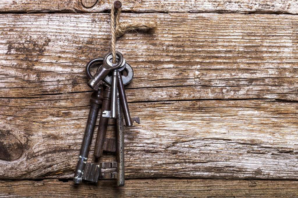 Immobilie in Walddorfhäslach - Gemütliche Erdgeschoss-Wohnung - Bild 0